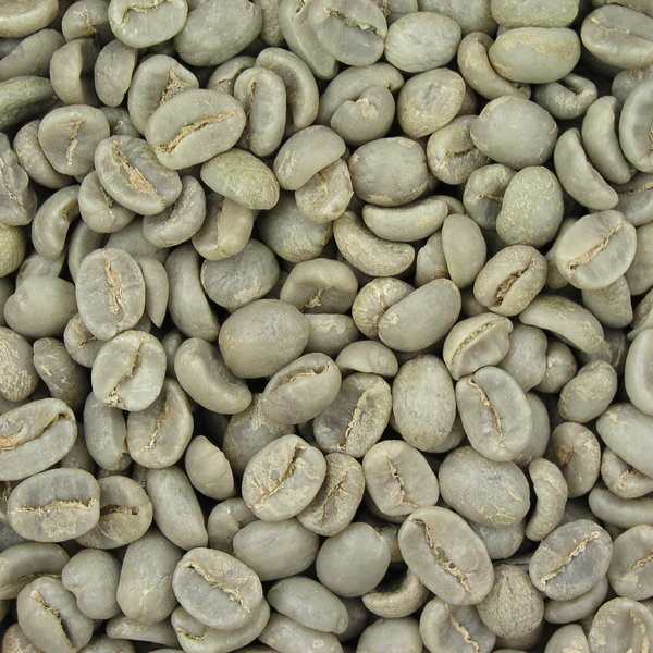 Green Coffee Seed Oil