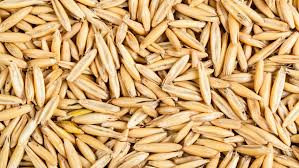 Oat Kernel Oil