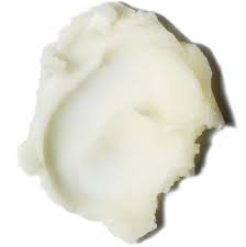 Bison Tallow